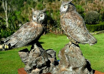 Cape Eagle Owls