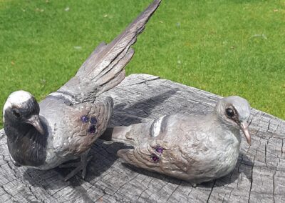 Pair of Namaqua Doves